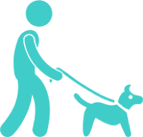 online dog training schools - dog on leash icon