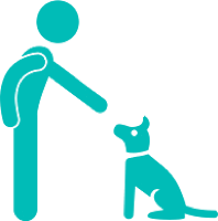 online dog training schools - dog sitting icon